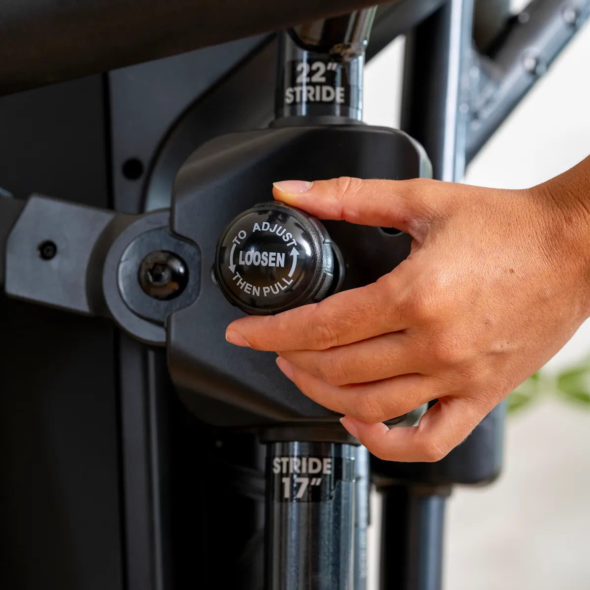 Bicicleta Eliptica Hammer Fly RX