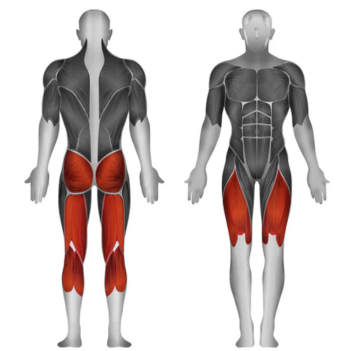 Aparat genuflexiuni din picioare cu incarcare pe discuri Steelflex - PLSS-BR