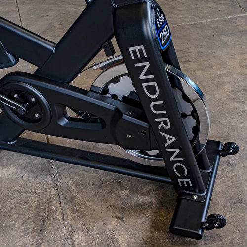 Bicicleta Spinning Endurance Pro - ESB250