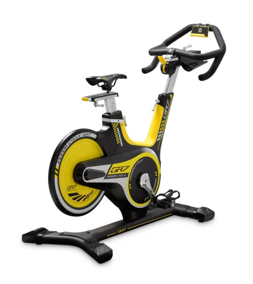 Bicicleta spinning HORIZON GR7