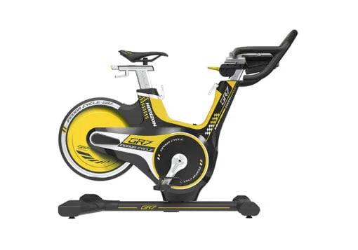 Bicicleta spinning HORIZON GR7