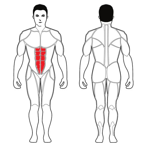 Aparat pentru Abdomene Steelflex Plate Load - PLAC-BR